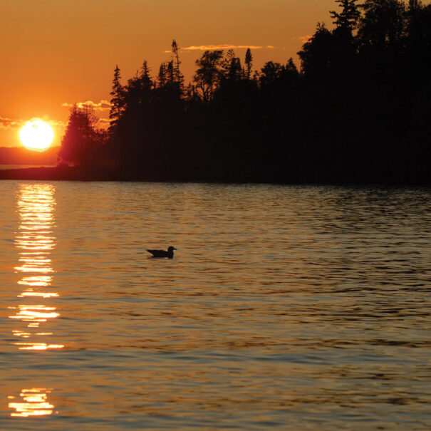 Île Wilson, Ontario 