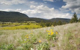 Milieu de prairie, Lac du Bois