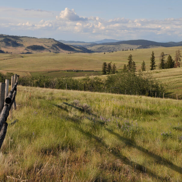 Paysage du ranch Frolek
