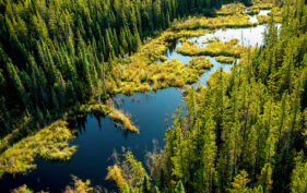 La rivière Birch, en Alberta