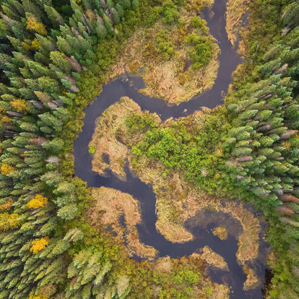 Le projet Terres boréales, en Ontario