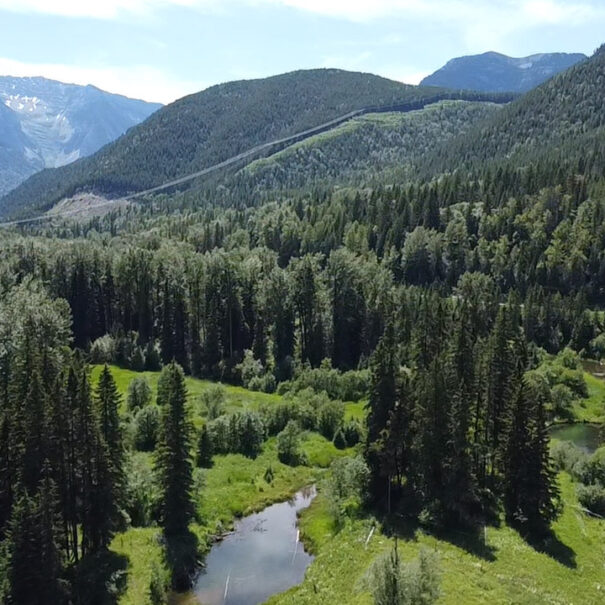 Les prés de Morrissey Meadows, en Colombie-Britannique