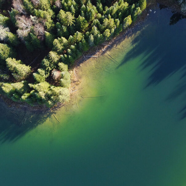 Le projet Terres boréales, en Ontario