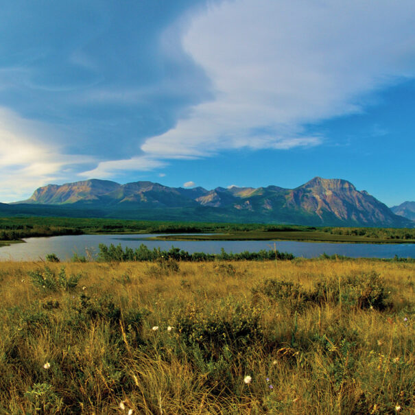 La zone de conservation Waterton Park Front, en Alberta