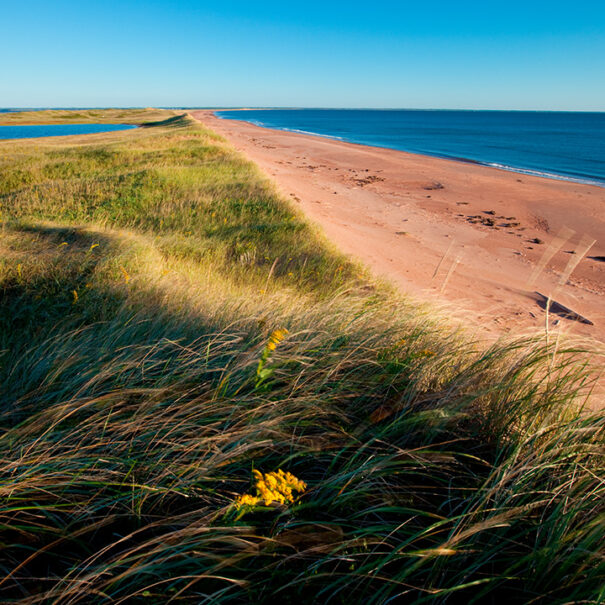 Les dunes de Conway, à l’Île-du-Prince-Édouard