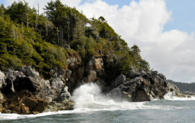 Réserve Cloyoquot Island, Colombie-Britannique