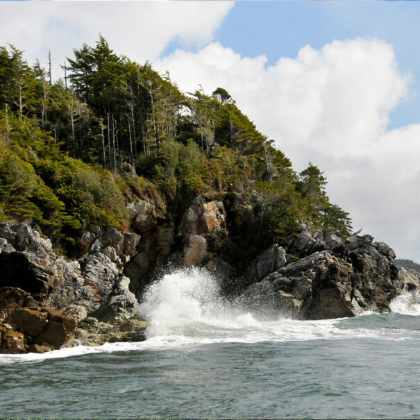 Réserve Cloyoquot Island, Colombie-Britannique