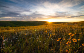 Back Prairie and Heritage Conservation Area, Saskatchewan