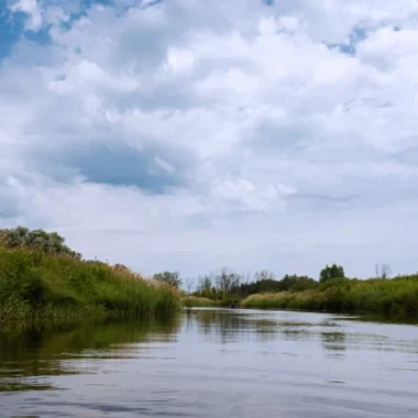 Photo of Minesing Wetlands