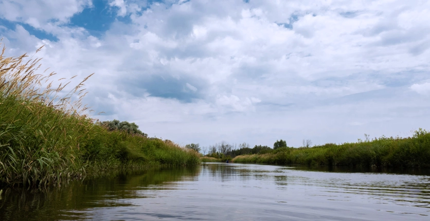 Photo of Minesing Wetlands