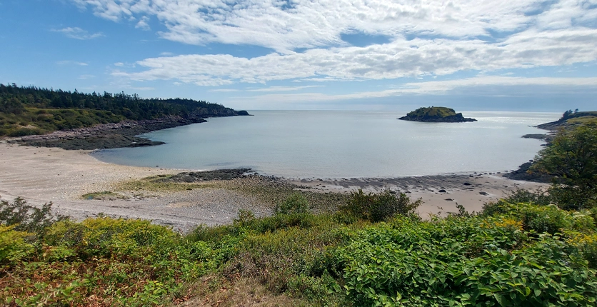 Photo of Musquash Estuary