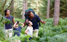 A family hiking in a forest