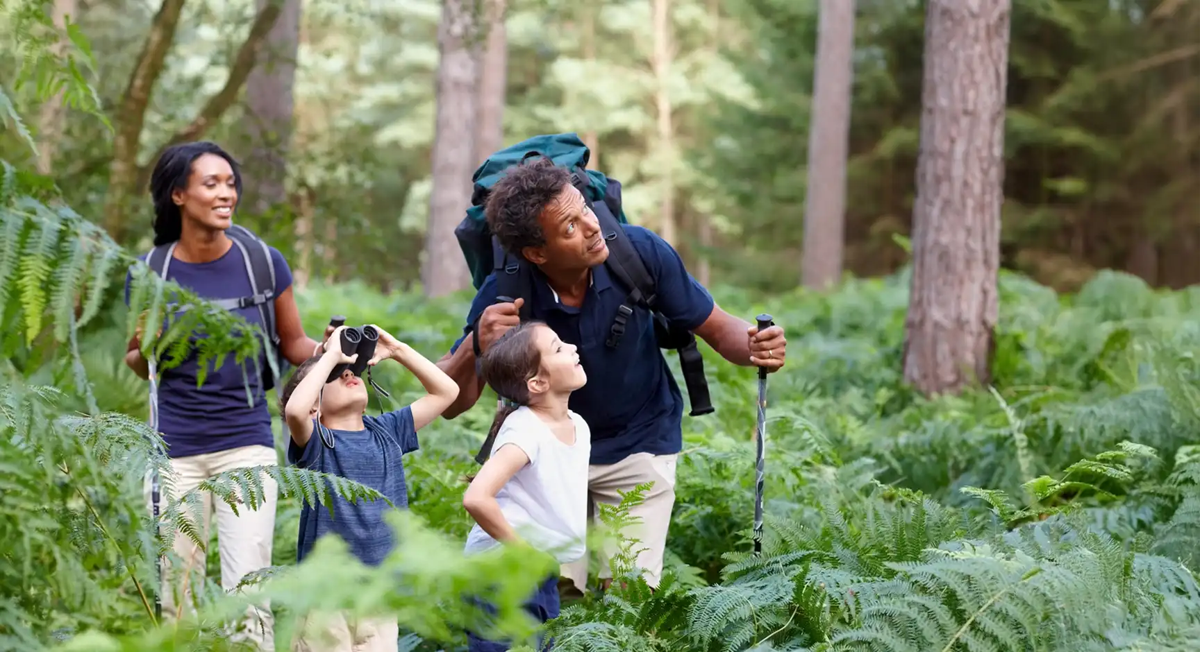 A family hiking in a forest